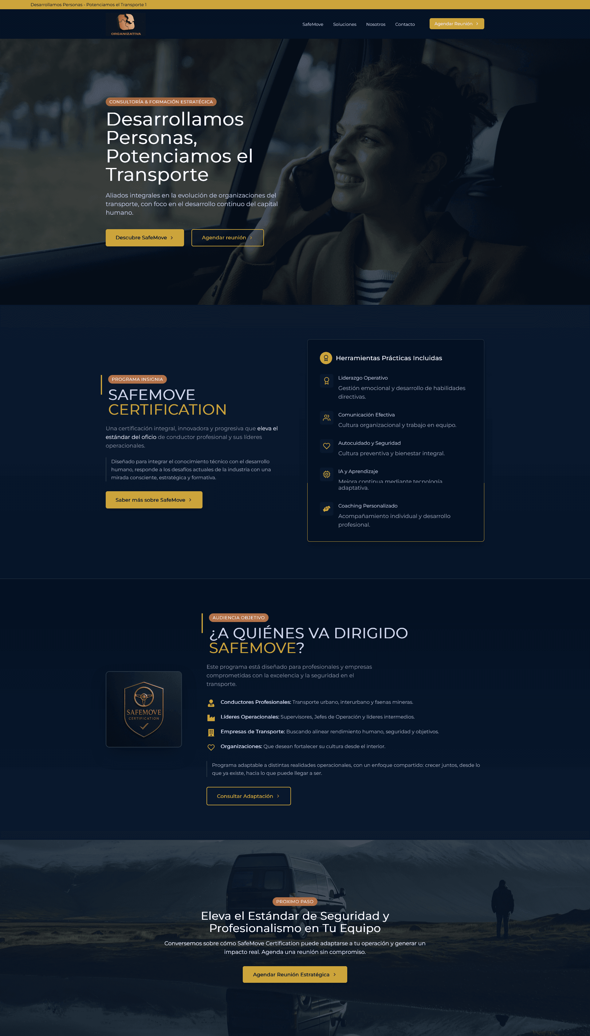 Organizativa website