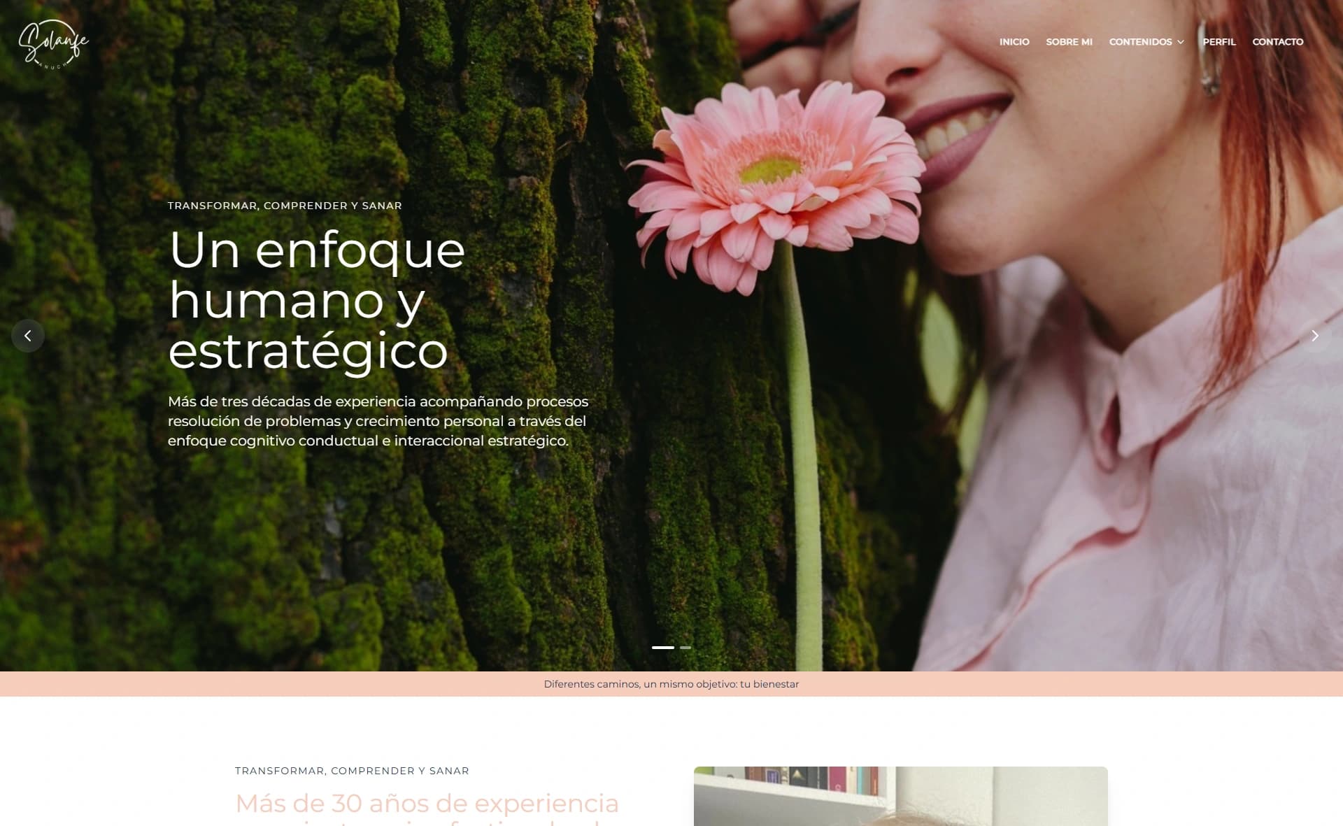 Pantallazo web 1