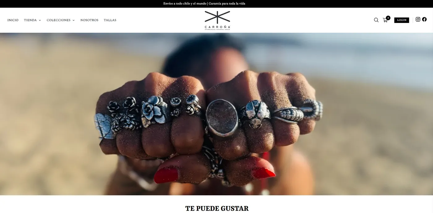 Pantallazo web 6