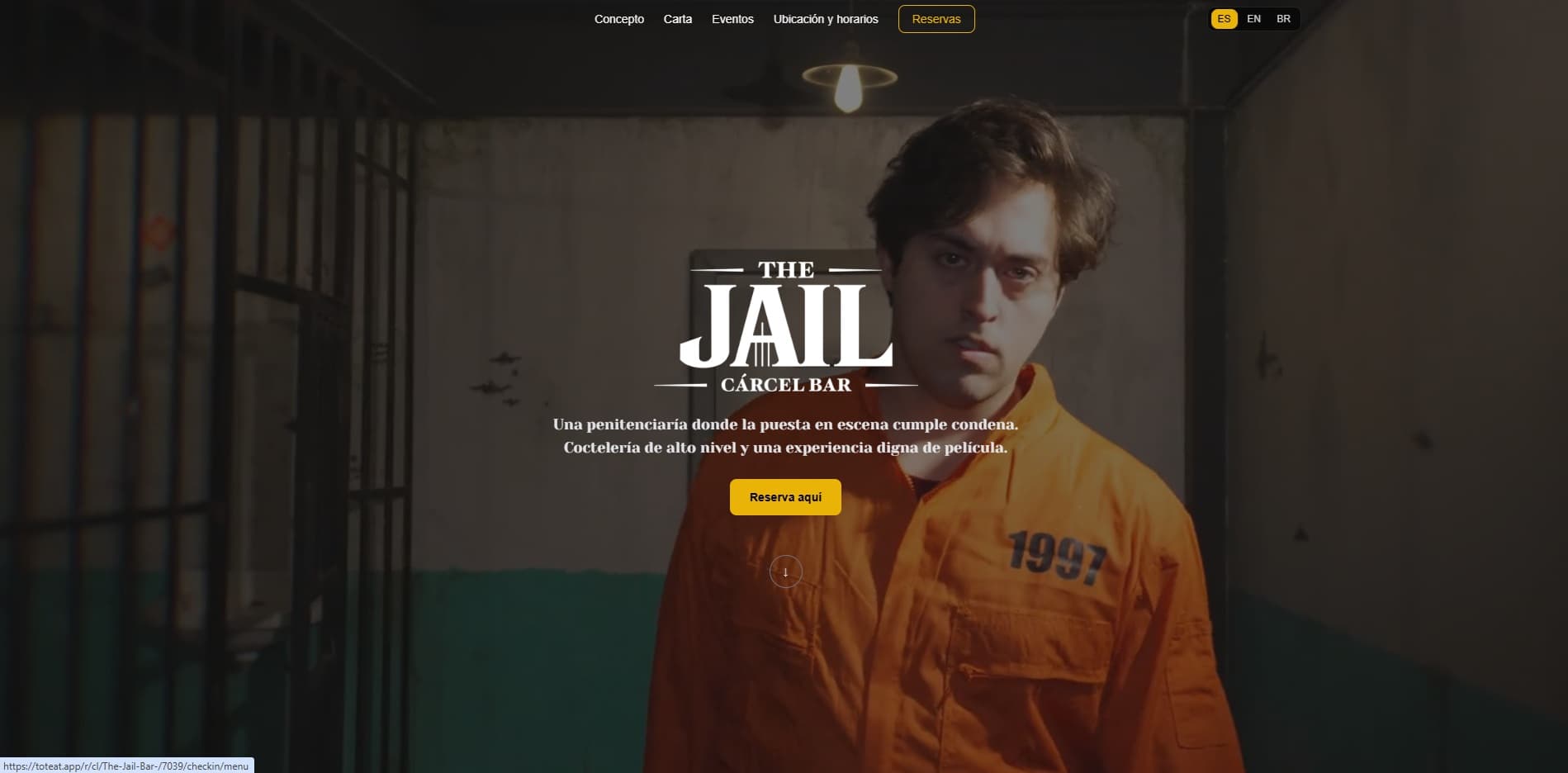 Pantallazo web 5