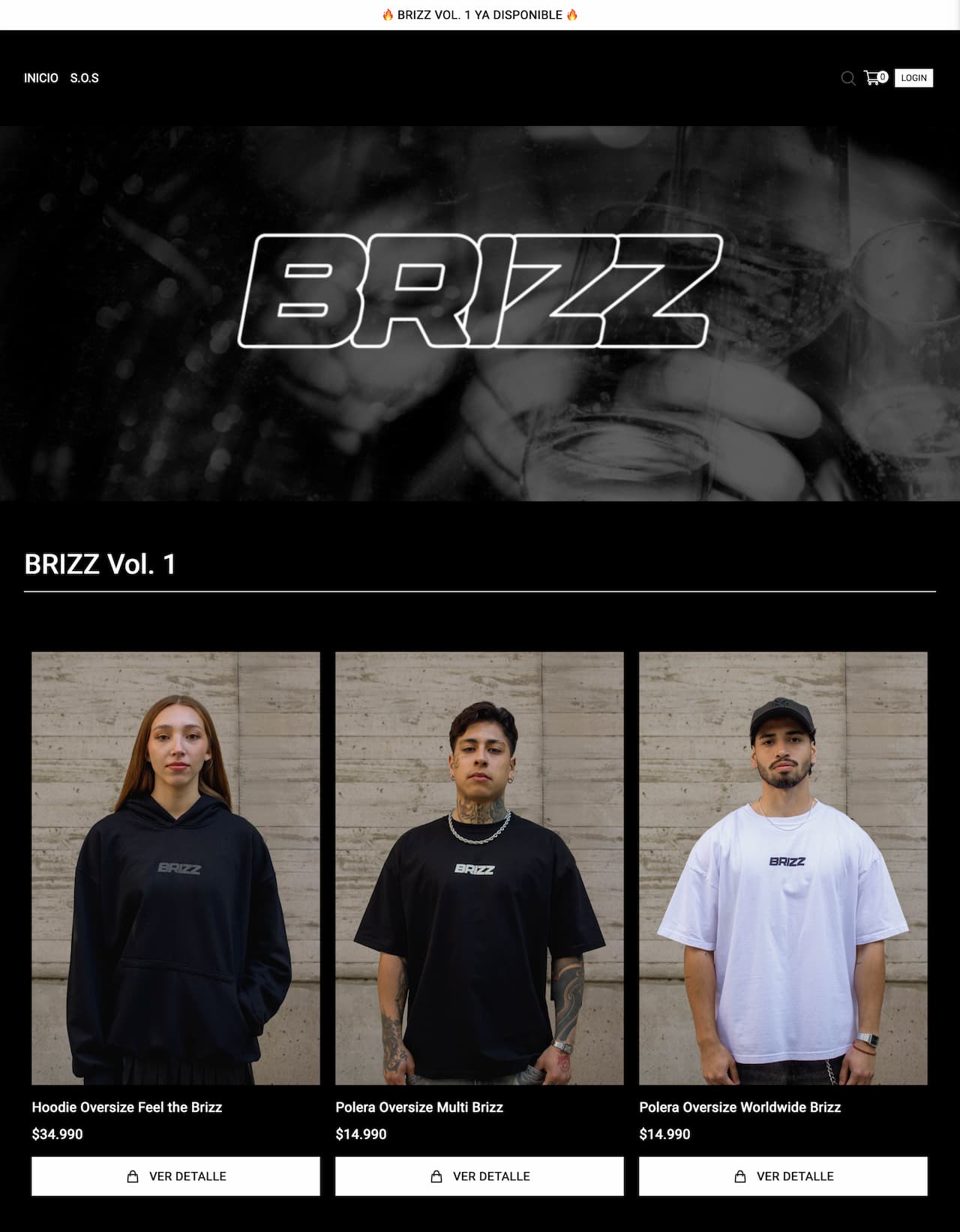 Brizz website